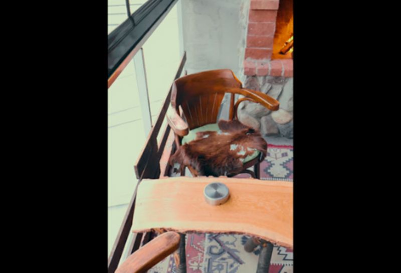 Unforgettable Memories 🌲