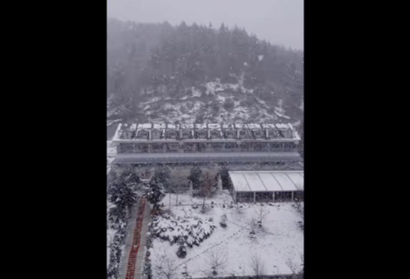 Taste, pleasure, and memories in Abant ✨