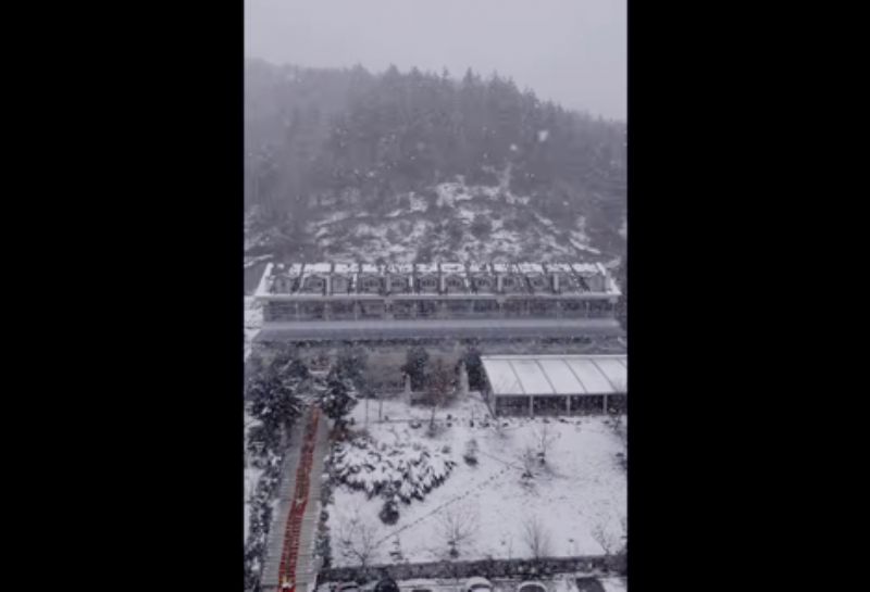 A place where time slows down 🌲