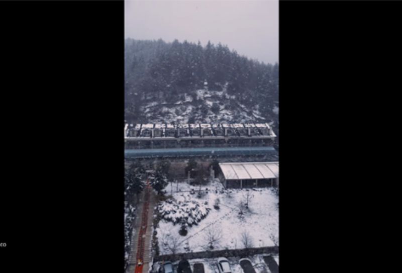 Discover the unique natural beauty of Abant 🌿